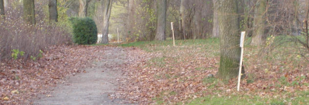 vorlufiger Planetenweg mit Holztafeln